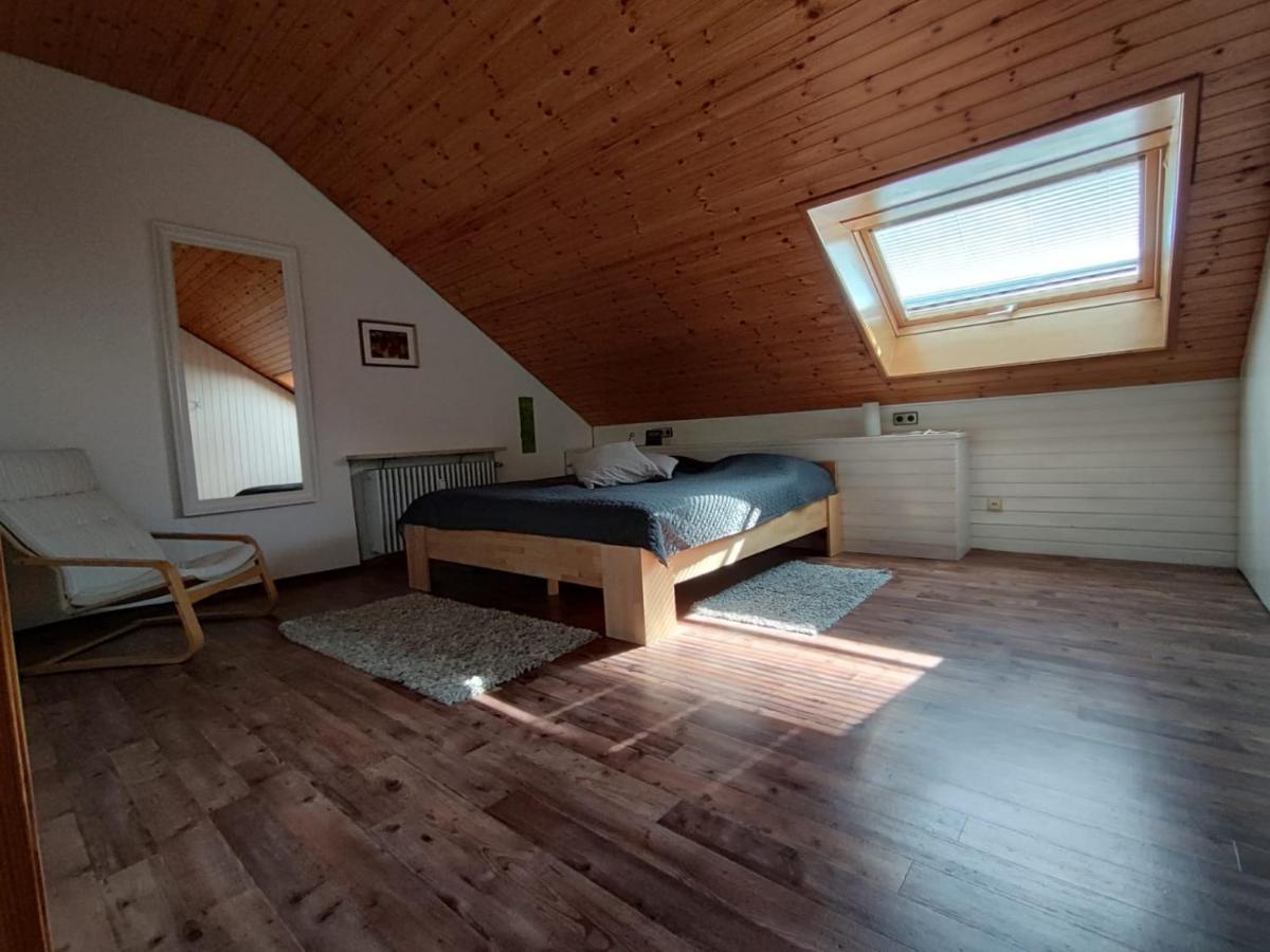 Feldbergsicht Apartment Lenzkirch Ngoại thất bức ảnh